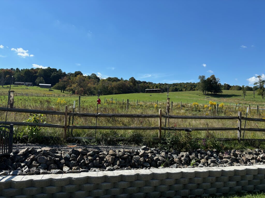 Lot_27_113