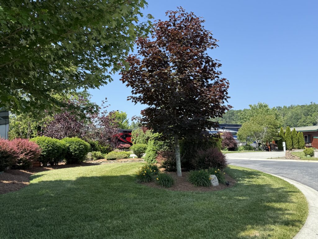 Lot_41_247
